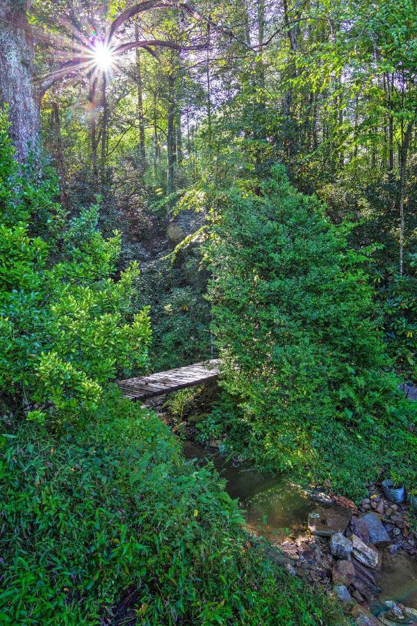 הנדרסונוויל Shaw Creek Cottage With Fire Pit And Forest Views מראה חיצוני תמונה
